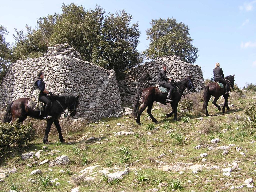 Monte SantʼAngelo Hotel Menta E Rosmarino מראה חיצוני תמונה