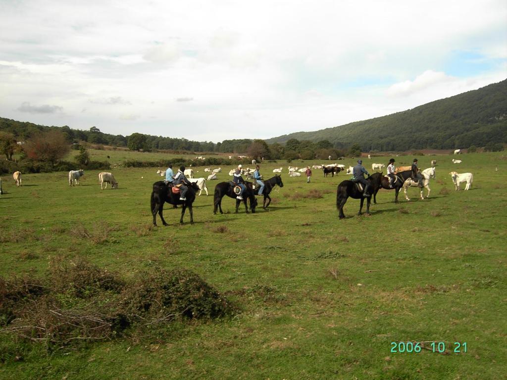Monte SantʼAngelo Hotel Menta E Rosmarino מראה חיצוני תמונה