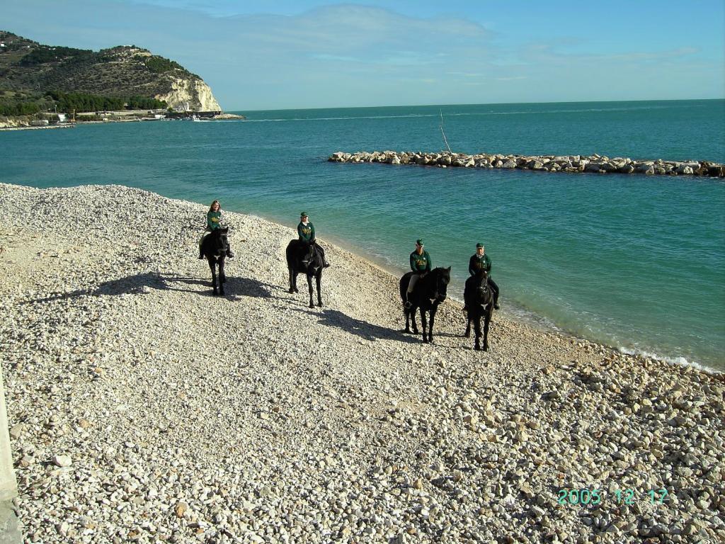 Monte SantʼAngelo Hotel Menta E Rosmarino מראה חיצוני תמונה
