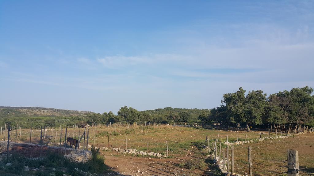 Monte SantʼAngelo Hotel Menta E Rosmarino מראה חיצוני תמונה